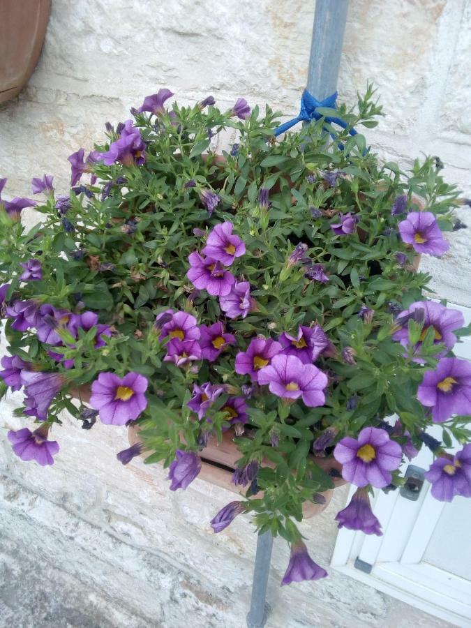 Trulletto Dei Sogni Сasa de vacaciones Alberobello
